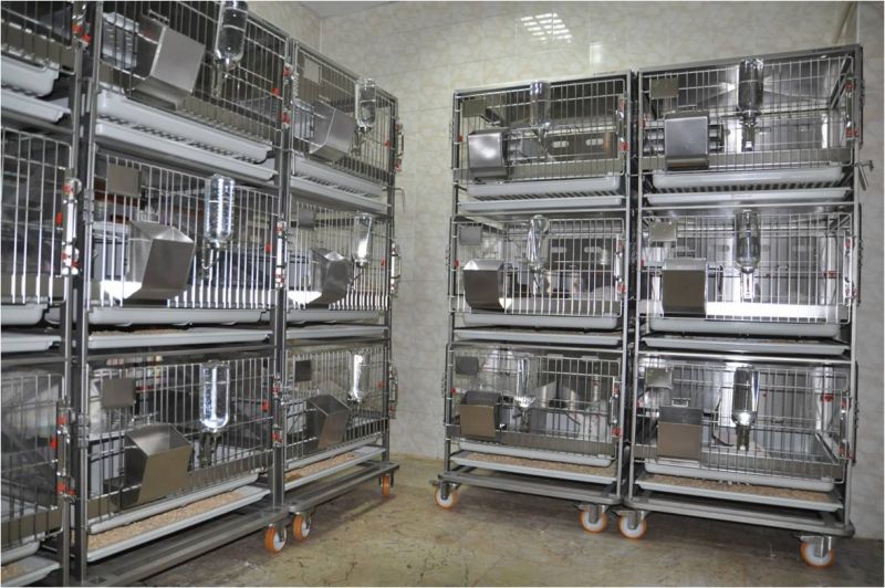 necmettin erbakan universitesi